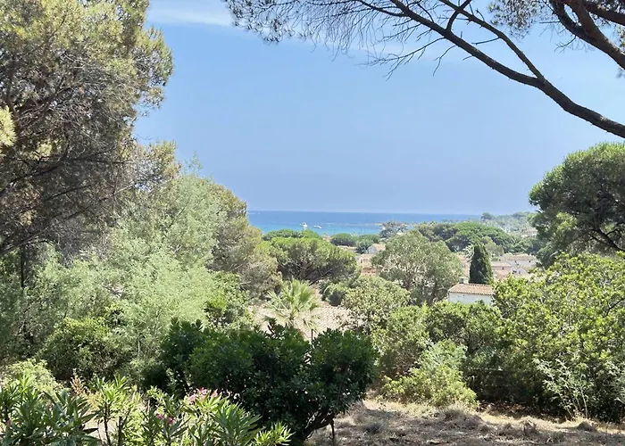 Feriehus Mediterraneenne Proche Et Centre A - Fr-1-226-562 *