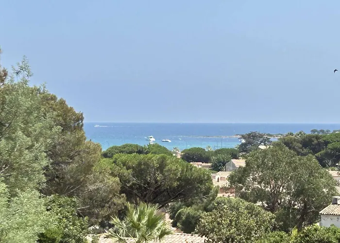 Mediterraneenne Proche Et Centre A - Fr-1-226-562 * Sainte-Maxime