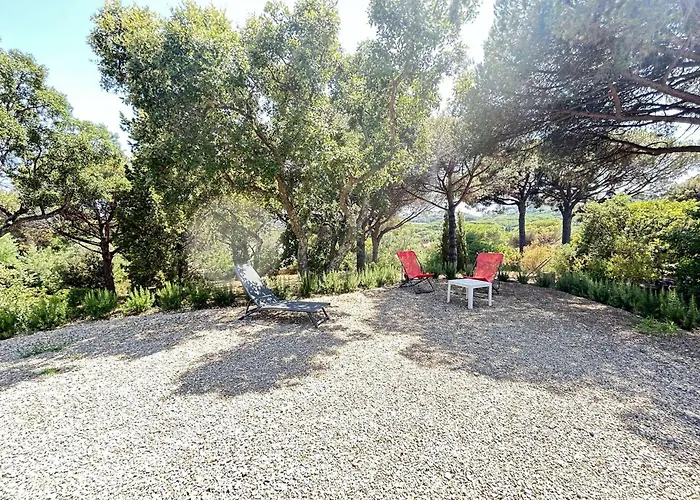 Feriehus Mediterraneenne Proche Et Centre A - Fr-1-226-562 *