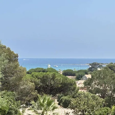 Mediterraneenne Proche Et Centre A - Fr-1-226-562 * Sainte-Maxime
