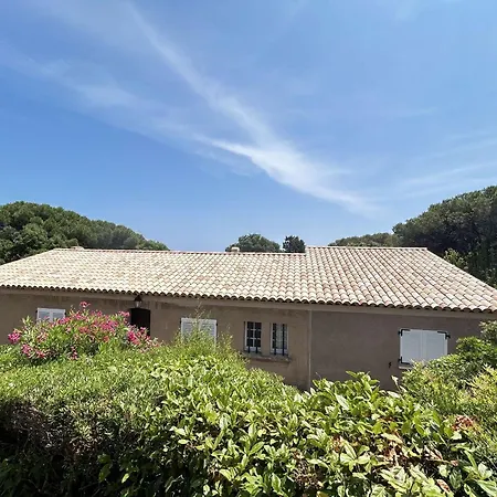 Méditerranéenne Proche Et Centre à - Fr-1-226-562